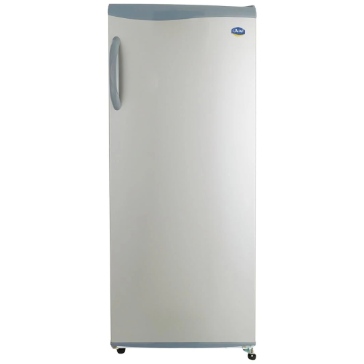 ثلاجة سوبر جامبو بباب واحد سعة 320 لتر (11 قدم) - مقبض خارجي بتقنية 5C R600 - فضي - 922061014